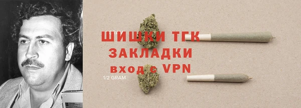 крисы Абаза