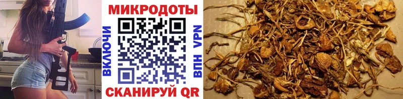 Галлюциногенные грибы прущие грибы  Котовск 