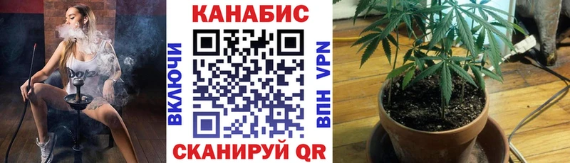 закладки  Котовск  Шишки марихуана THC 21% 